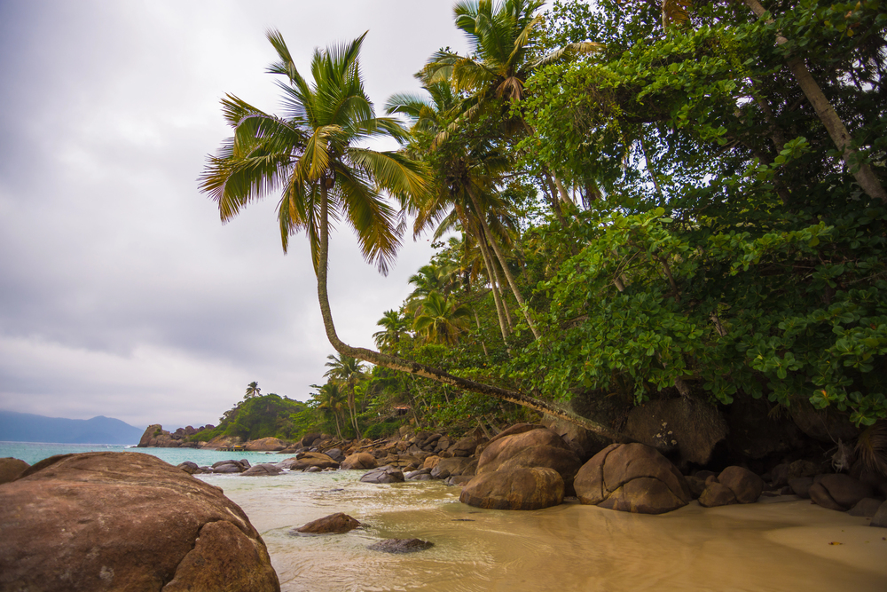 グランデ島からの送迎